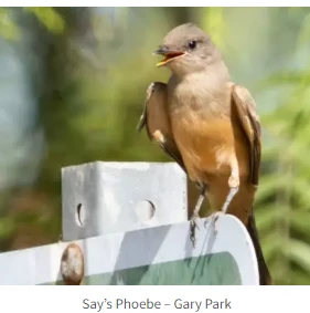 Hansen-Dam-Bird-Walk
